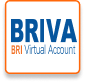 BRIVA